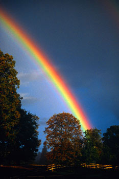 Rainbow